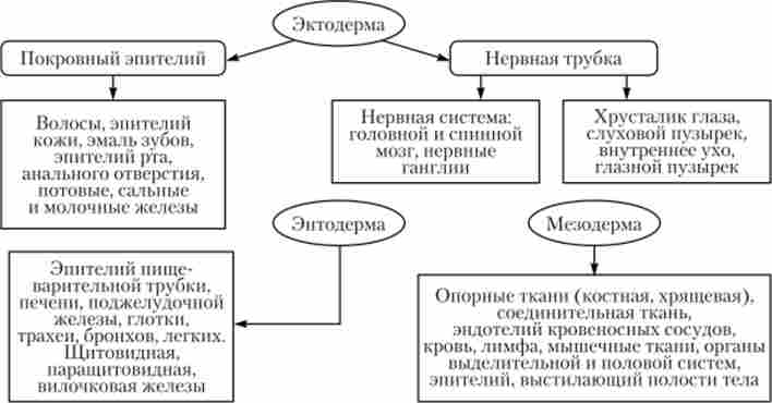 �������� �������� ���������� ������