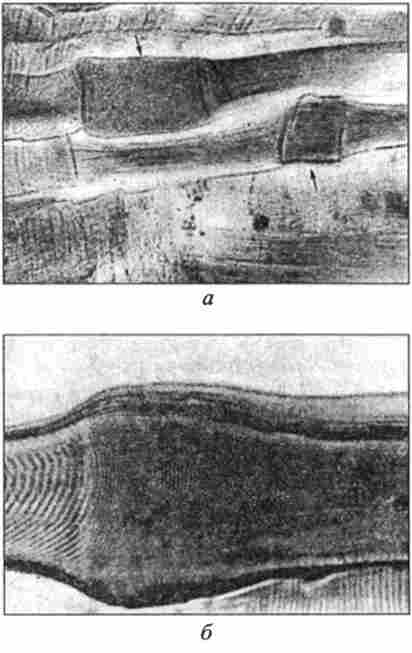 ����� ���������� �'������ �������, ��������� �280; 400 (�� �. �. Ҳ������)