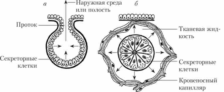 ��������� �������� � ����� ���������� (�) � ���������� (�) �����