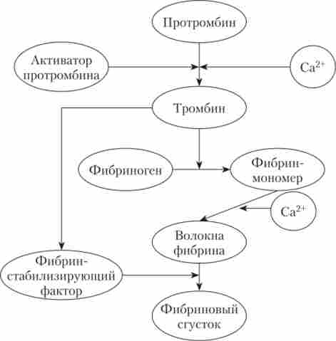 ������������ �������, �� ���������� �� ��������� ����������� �������