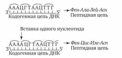 ������� ���� ������� ������������ ��� � ������� ���