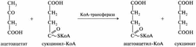 ����������� ����� ������ ������� �� ��������� ��������� ��