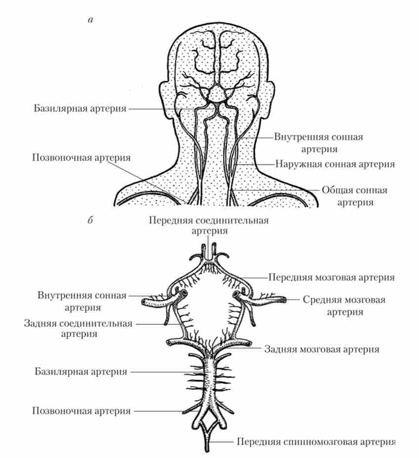 ��������������� �����