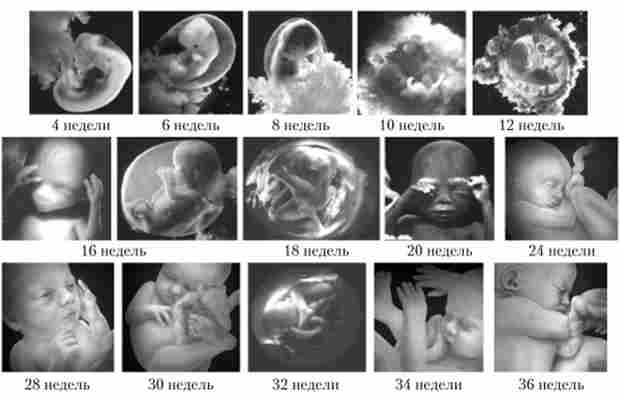 ������ � ��� ������ �� ����� ������ ��������