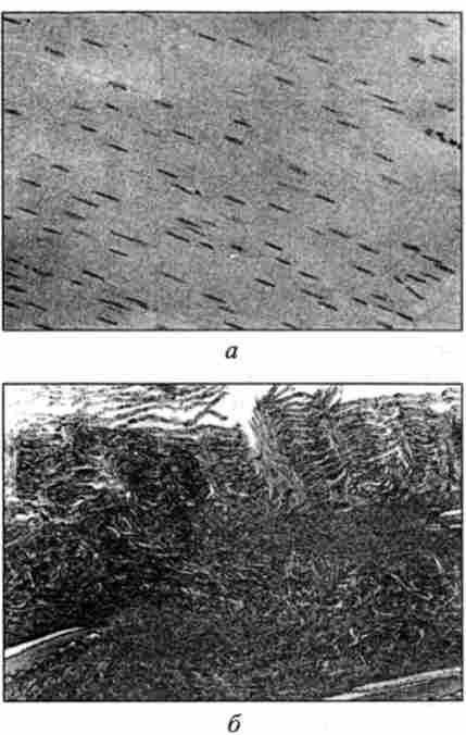 ̳������������ �'����� �������. ����������� ������������� � �������