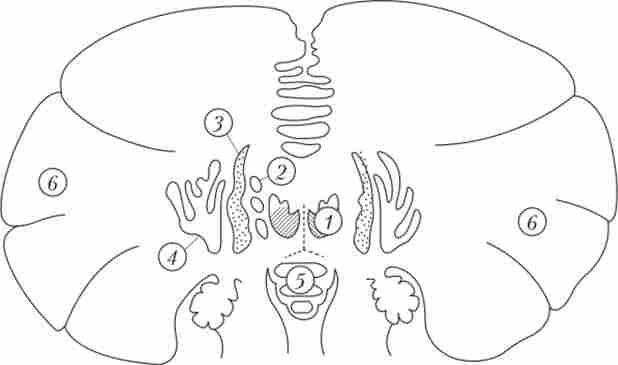 �������� ������ �������