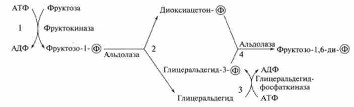 ��������� ��������