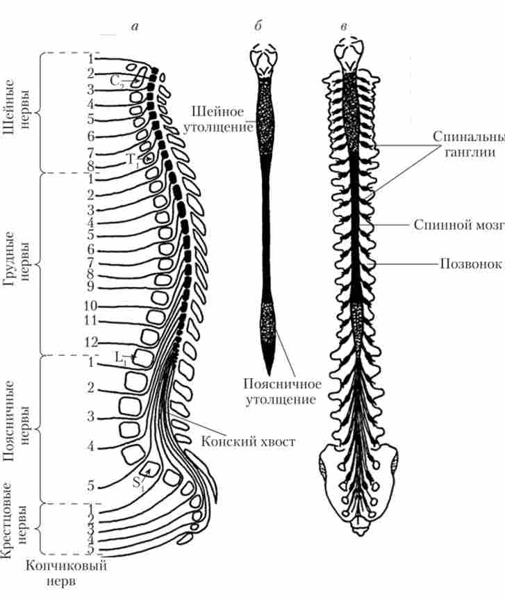 ��������� ������ �������� �����