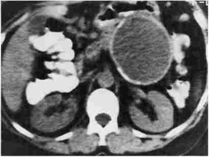 ����'������ ����������