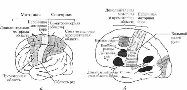 ����������� �����, �� ������ ������ � ����������� �����