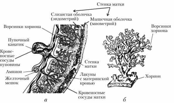 �������� ������