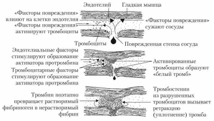 ��� ������� ���� ������� ��������� ���� (������ ����)