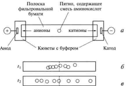 ����� ������������� �� ������ ������ ��������������� ������