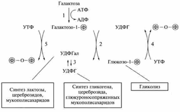 ��������� ���������