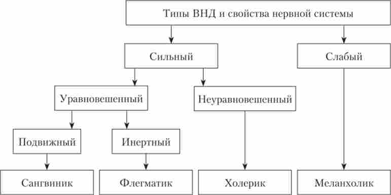 ������������ �� ������������� ������� �������, ���������� ������ ��� � ����� ������������ � ������