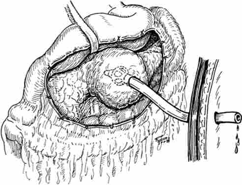 �������� ���������� ��������� ��������������� ����