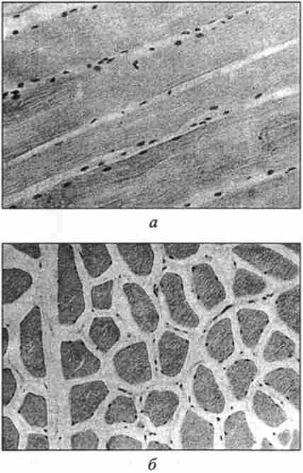 ̳������������ �������. ����������� ������������� � �������, ������ �7