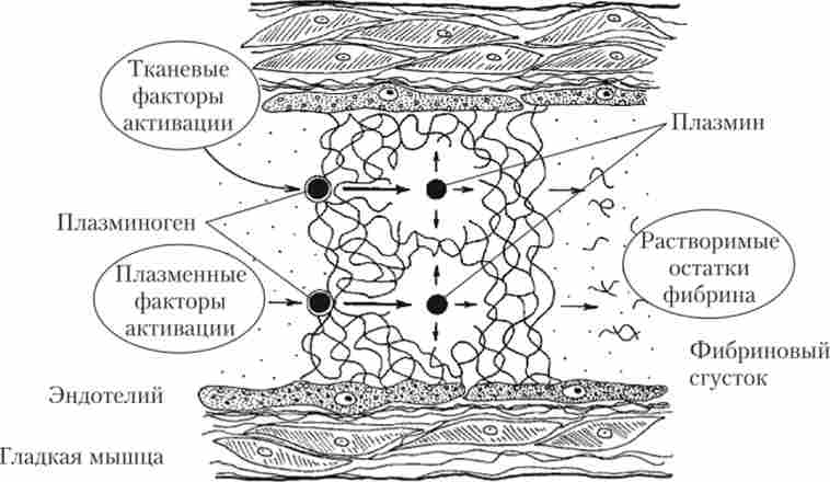 ������ ����������. ����� ������� �� ������� ��������� � ��������� ������� � ���������� �� ����������� �������