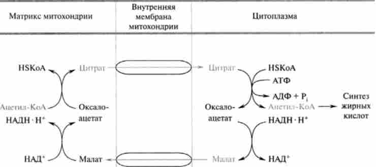 ��������� �������� ���������� ������-��� ����� �������� �������� ���������