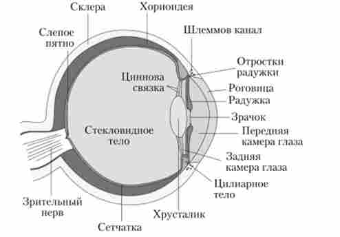 ������ ��������� ���