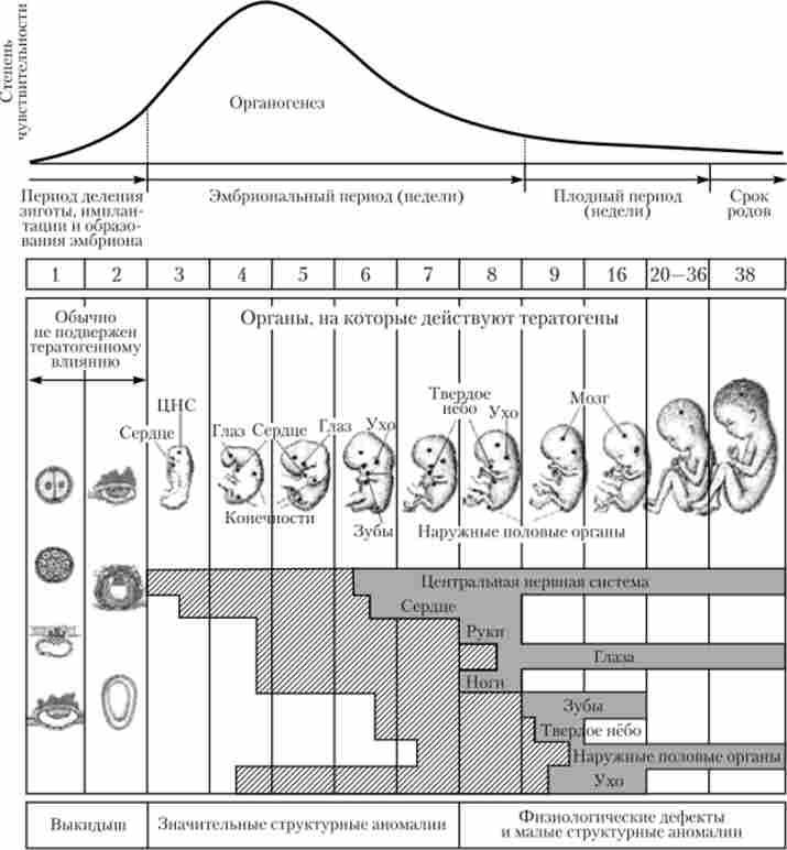 �������� ������ �������� ������ (������������ ������ ������� ��������� ������ ����� �������� ��������)