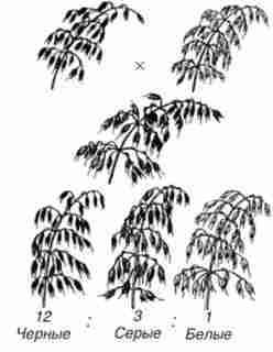 ������ � ����