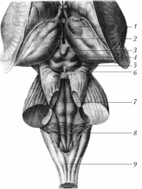 ������� ����� � �������