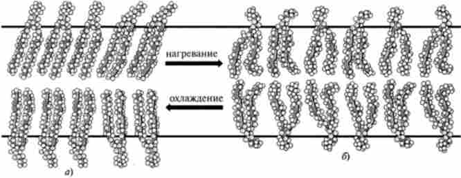 ����� ����������� �� ���� ������� �����