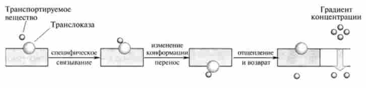 ��������� ������ ������� ����� �������� ����������