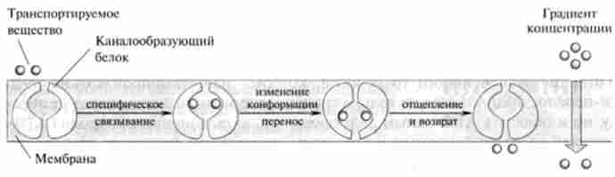 �������� ��������� ����糿 ���������������� ������