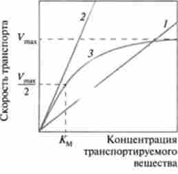 ʳ������ ������ (/) � ��������� ����糿 �� ������ ����������������� ���� (2) � ����-����������� (J)