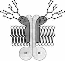 ��������� Na, � * -�������� ���-���