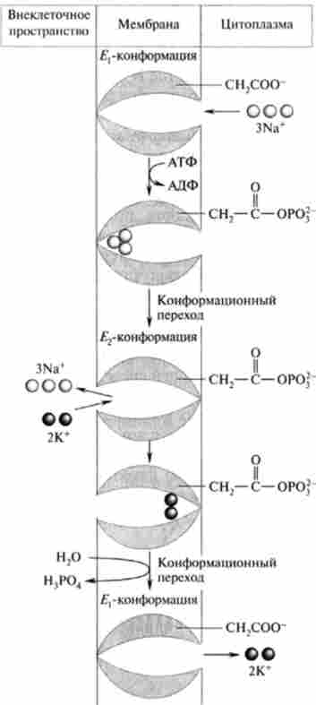 �������� �������������� NaVK ^ -���-���