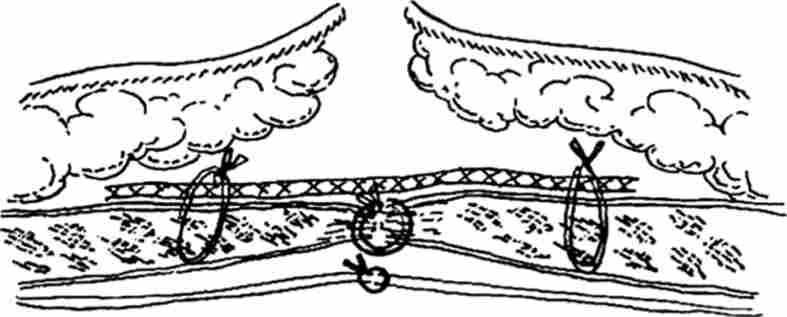 ����� ������� ���������� ��������������