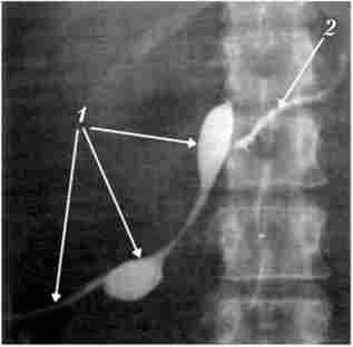 Գ�����������