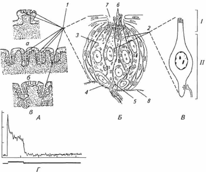 ���������� � ������������� ����������� ��������� ���������