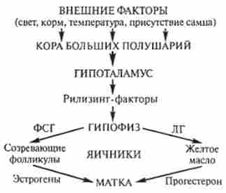 ����� ���������������� ��������� �������� ������� �����