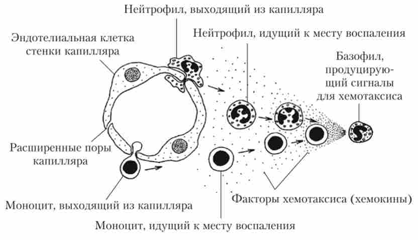 ����� ���������� � �������� � ������� ����� ����������� ���� � ��� �� ������� ��������� (������� ��� �����������, ���������� ��������)