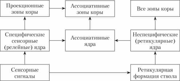 ���������� ���������� �������� ���� ���� �������� � �� ��'����