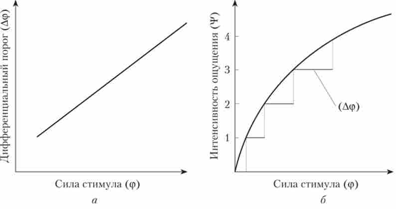 �������� ���������� ������� ������ (�) � ������� (�)