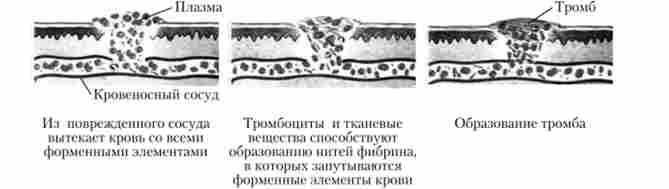 ��������� ����� ��������� ������ � ����