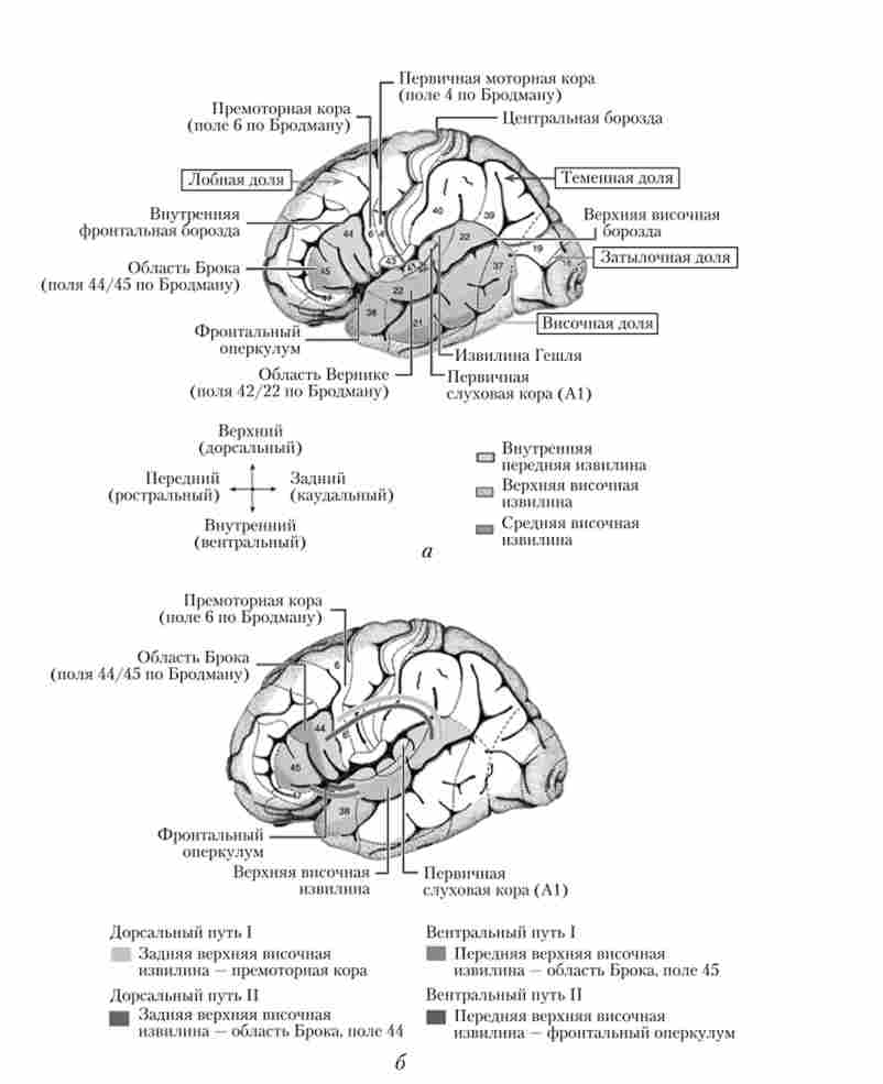 ������� � ����������������� ��� �����