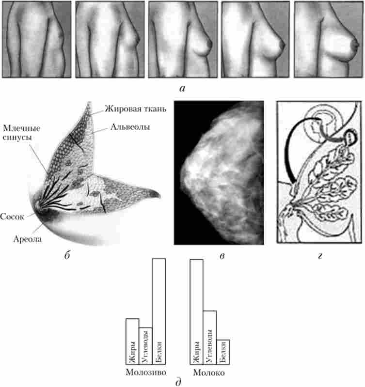 �������� � ������� �������� �����