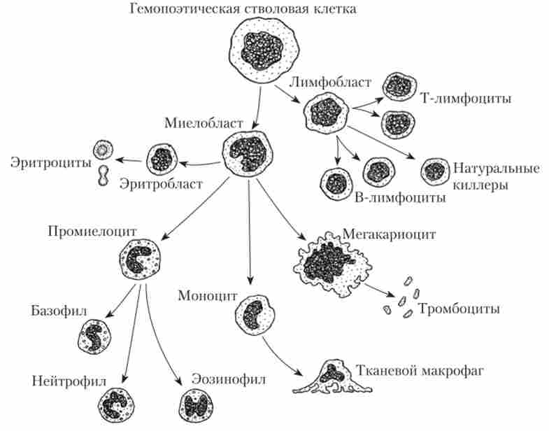 ����� ����� �������� �������� ���� � ��������� ������������ ������ ��������� ��������� �����
