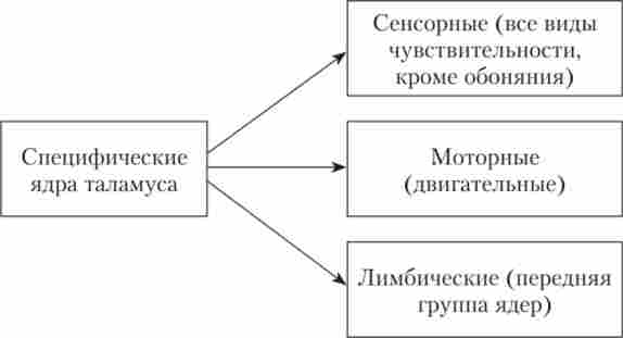 ����� ����������� ���� ��������