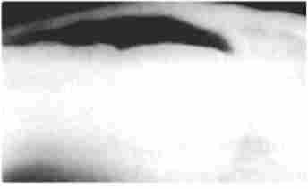 �������� �������������� ������� ���������