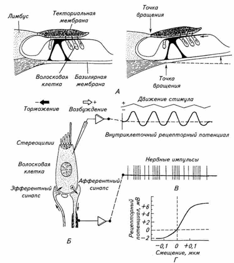 ����� ��������� ���������� ����� � ��������� � ��� ����������