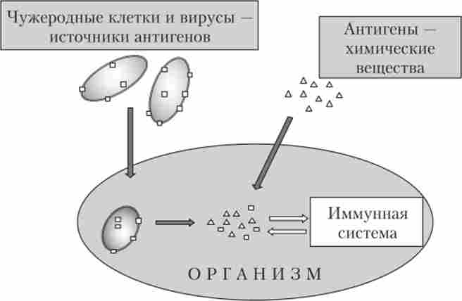 ������ ������� ������ ��������� � ������� ��������� ������� - ���������