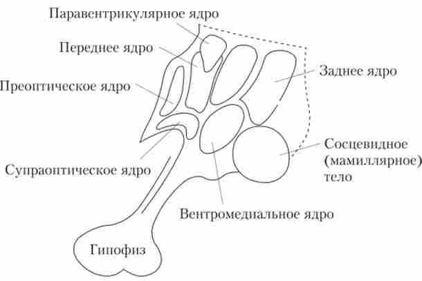 ���� �����������