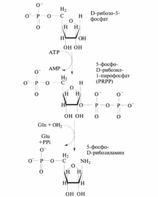 ������������ 0-������-5-������� � 5-�����-1) -��������